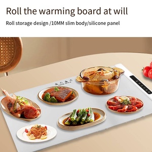 Chuyên Nghiệp Điện Silicone Nóng Lên Khay Cho Tự Chọn Roll-up Thực Phẩm Nóng Lên Mat Cho Phòng Khách Bảng Cách Sử Dụng Miếng Đệm - Product Image 5