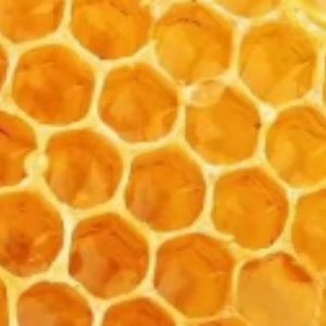 Poudre d'extrait de propolis de haute qualité OEM/ODM, soluble dans l'eau, flavonoïdes 5%-70% - Product Image 2