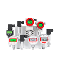 Y100 Digital Pressure Gauge 2500 Bar Wise Stainless Steel Case 100mm Size for Gas and Liquid Application