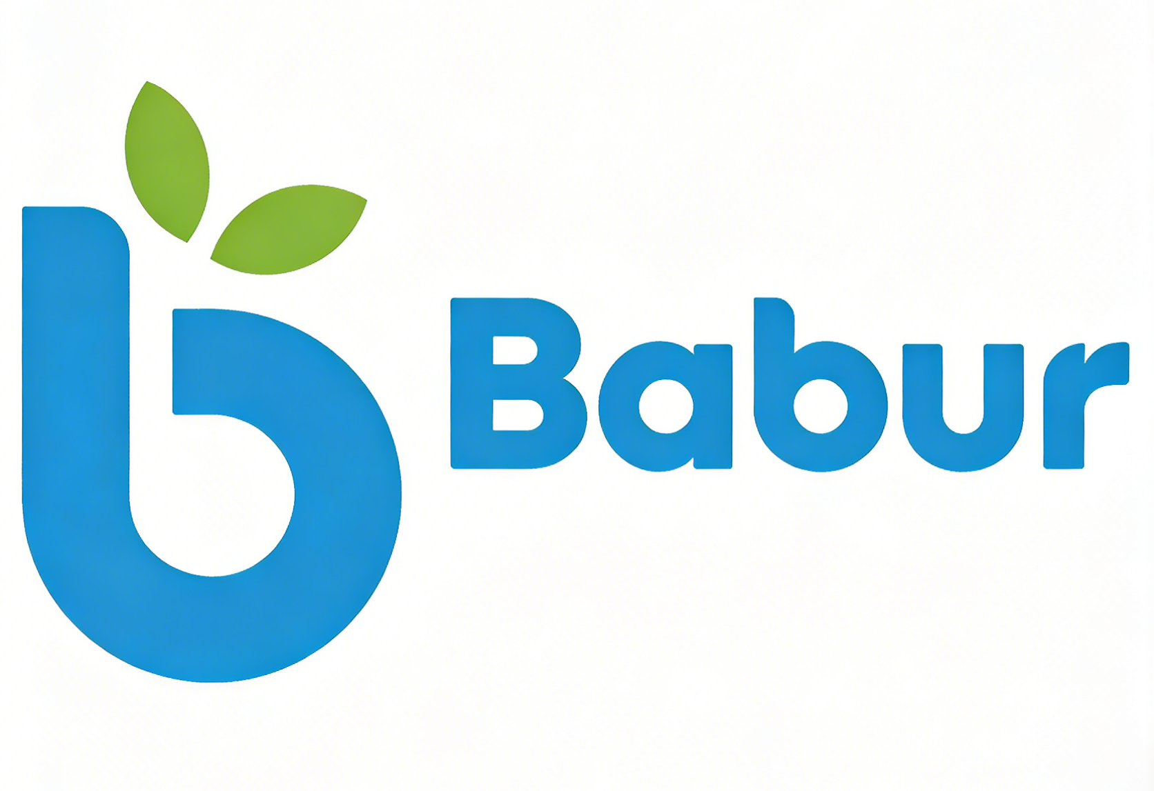 Babur International Trade (beijing) Co., Ltd. logo