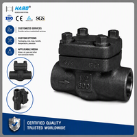 Katup Cek Las Baja Tempa F304 F51 Kelas 800 API 602 ASME B16.34 untuk Industri Minyak, Gas, Air, dan Kimia