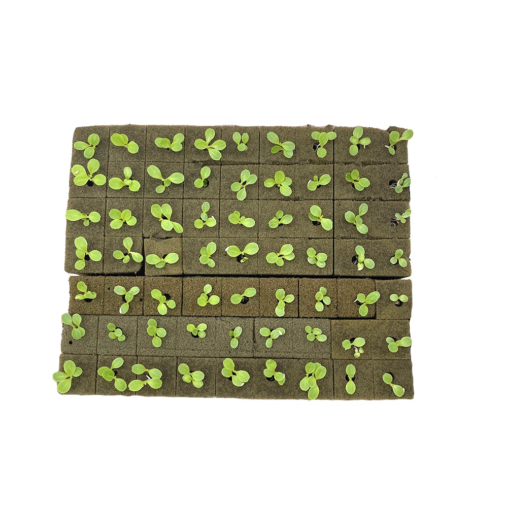 New product seed directly growing foam Hydroponics Plant Germination foam