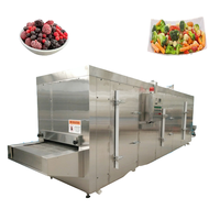 Fresas / Arándanos / Frambuesas / Fruta Congelada Rápidamente en Túnel de Congelación IQF
