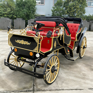 Carruaje de caballos de estilo vintage para recorridos por ciudades antiguas, fotografía de bodas y proyectos de turismo cultural característico. - Product Image 3