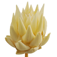 Grande fleur décorative d'artichaut préservé, fleur séchée Cynara Scolymus pour mariage, décoration de table, arrangement floral, bouquet