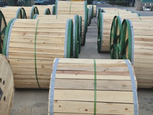 架空电力线 AAC AAAC ACSR ACSR/Aw Aacsr Acar Opgw 裸导线 - Product Image 6