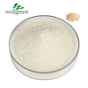 ウェルグリーンサプライ加水分解オーツミール食品交換用インスタントオーツパウダー - Product Image 1