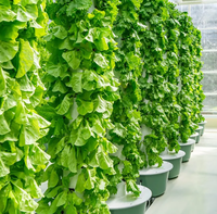 Tour hydroponique agricole verticale pratique pour légumes fleurs tour aéroponique avec système hydroponique de croissance légère