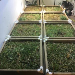 Sacchi per Coltivazione Rettangolari in Tessuto per Serra con Traliccio e Connettori - Ideali per la Crescita delle Radici - Vendita all'Ingrosso - Product Image 1