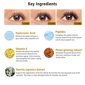 Nouvel arrivage de <span class=keywords><strong>mascara</strong></span> à cils ajustables en fibre 4D résistant à la transpiration imperméable à l'eau et à la transpiration avec étiquette de maquillage de marque privée - Product Image 4