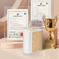 2025 Tik-Tok vente chaude bois Design sans eau lumière LED minuterie parfum 5ml 10ml 15ml essentiel 0il diffuseur Machine désodorisant
