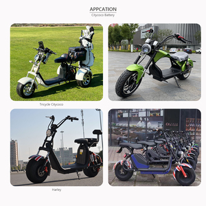 Citycoco Scooter pil Harley Scooter pil 60v 12Ah 12Ah Removable çıkarılabilir lityum pil - Product Image 6