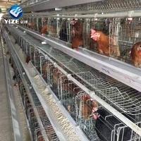Conception de Bâtiment d'Élevage Avicole Cages à Poules Pondeuses en Vente