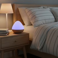 Diffuseur d'huiles essentielles portable, aromathérapie, diffuseur ultrasonique d'arômes, humidificateur pour la maison, la chambre, le bureau