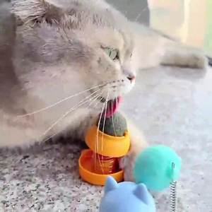 <span class=keywords><strong>Catnip</strong></span> bola pengocok kucing mainan penggoda kucing licker perlengkapan hewan peliharaan tongkat penggoda kucing tahan gigitan - Product Image 3