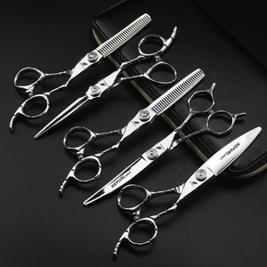 Ciseaux à cheveux de qualité supérieure 6,0 pouces <span class=keywords><strong>FZC</strong></span>, prix d'usine, couleur argent, ciseaux de coiffure en acier inoxydable, ensemble HS-228 - Product Image 1