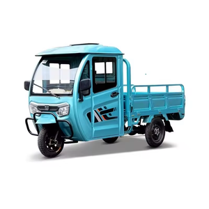 Tricycle à trois roues de haute qualité 1000w populaire en Europe et en Amérique pour adultes - Product Image 1