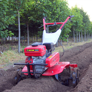 Mini Trator de Mão Rotativo / Cultivador de Mão para Venda - Preço de Carrinho de Mão para Cultivo - Product Image 2