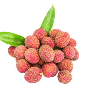 Wholesale Fruit Fresh Lychee Exported Chinese Fruit Litchi