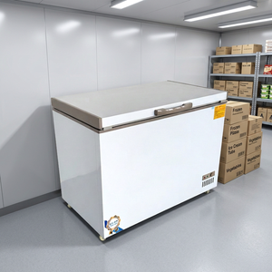 Congelador Horizontal Comercial BANGMAOL com Abertura Superior, Refrigerador de Sorvete com 400L de Grande Capacidade, Resfriamento Direto e Prateleiras Ajustáveis - Product Image 1