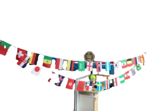 ธงประดับตกแต่งแบบเป็นมิตรต่อสิ่งแวดล้อม ธงชาติทุกประเทศ สำหรับงานนานาชาติ - Product Image 6