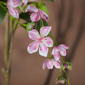 Plantes artificielles <span class=keywords><strong>Jasmin</strong></span> pleureur Couleur verte Plastique écologique en <span class=keywords><strong>pot</strong></span> Plante haute Décoration d'intérieur Diplôme Halloween - Product Image 2