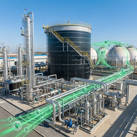 Cuve de digestion anaérobie automatique en acier au carbone 316L anticorrosion, réacteur pour traitement industriel du biogaz