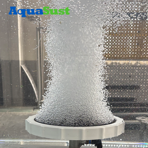 Diffuseur à disque d'<span class=keywords><strong>a</strong></span>ération à bulles fines pour le traitement des eaux usées et l'<span class=keywords><strong>a</strong></span>ération en aquaculture - Vente chaude - Product Image 3