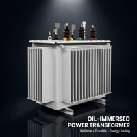 Transformateur sur mesure immergé dans l'huile 100 kVA 33 kV à faible perte, triphasé, à bobinage en cuivre