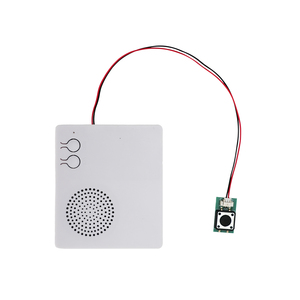 Módulo de Sonido con Botón Cuadrado de 16 MB, Recargable por USB, con Batería de Litio, Grabador de Voz, Personalizable de Fábrica - Product Image 1