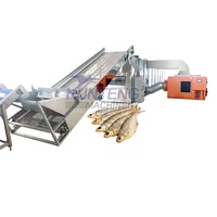 Maatwerk Continue Transportband Kleine Garnalendroger Machine Zeevoedseldrogers Droogmachine Droge Visverwerkingsmachines