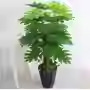 Paquet d'étoiles porte-bonheur d'emballage zongzi de 1 mètre, 48 feuilles, herbe cadeau