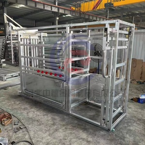 Chất lượng cao bò thiết bị bột tráng bò bóp CHUTE gia súc lòng cho bán - Product Image 6