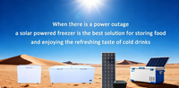 Congélateur coffre solaire autonome 300L DC12V 24V, efficacité énergétique A++, pour camping, marché, zones rurales éloignées, OEM