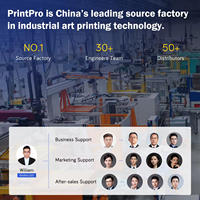Printpro hybride 3D transfert thermique imprimante numérique à jet d'encre imprimantes automatiques de magazines pour les usines de vêtements vente pour les usines