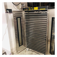 Déshydrateur alimentaire commercial en acier inoxydable, économiseur d'énergie, sécheur solaire pour herbes, viande, bœuf, fruits, déshydrateur de fruits