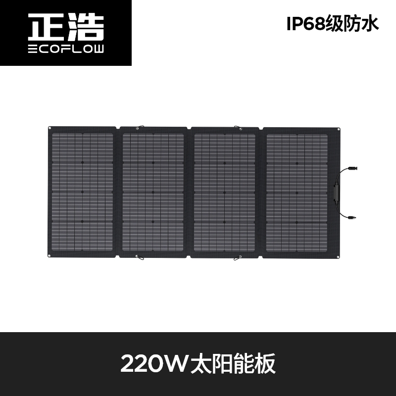 EcoFlow 220 watt solar panel