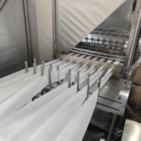 Tampons de coton-tige d'alcool à usage médical Machine à emballer les tampons de préparation d'alcool Machine