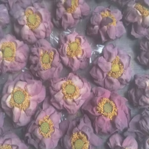 He Hua Factory Supply Getrocknete Nelumbo Nucifera Whole Red Pink Lotus Individuell verpackte wilde Natur für Weihnachten und Ostern - Product Image 5