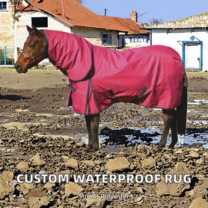Manta para Caballos CST de Alta Calidad, Impermeable, Transpirable, Personalizable, de Poliéster Resistente, para Uso en Doma Clásica, para Todas las Estaciones - Product Image 2