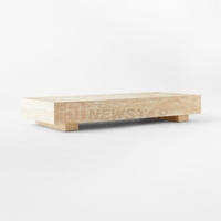 Newstar Table au design de luxe Meubles de salon Tables basses ovales en travertin naturel