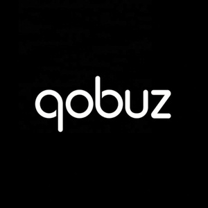 Software Qobuz para Escuchar y Descubrir Música en Línea - Product Image 4