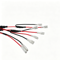 Harness Kabel Listrik Profesional Tugas Berat untuk Otomotif & Sepeda Motor Kustom OEM Inti Tembaga PVC dengan Rating IP65