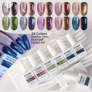 RS unghie all'ingrosso 15g estivi occhi di gatto smalto Gel 24 <span class=keywords><strong>colori</strong></span> vernice UV colla Semi-permanente resina di lunga durata per unghie senza ammollo - Product Image 1