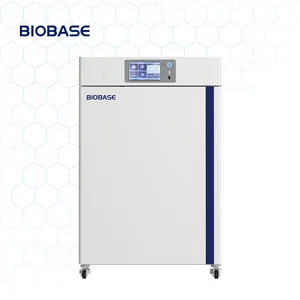 BIOBASE الصين مختبر الساخن بيع تعزيز 160l قدرة كبيرة عموديا co2 حاضنة BJPX-C160