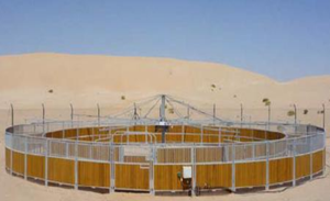 Andador automático multifuncional, máquina para caminar, caballo, venta al por mayor - Product Image 6