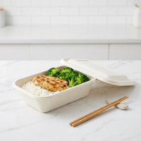 Boîte d'emballage alimentaire rectangulaire en pulpe de canne à sucre biodégradable avec couvercle, solutions pour les cantines scolaires et de bureau
