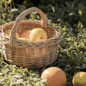 Mini panier rond en osier fait main pour la cueillette des fruits, pique-nique, style rustique - Product Image 1