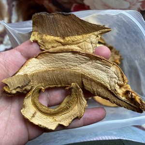 Rebanadas de <span class=keywords><strong>Boletus</strong></span> congeladas secas de Exportación/<span class=keywords><strong>Boletus</strong></span> Edulis secas al por mayor - Product Image 5