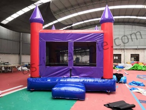 Petit rebond gonflable pour les enfants et l'activité intérieure - Product Image 5